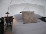 Bed and cushion Bed and cushion